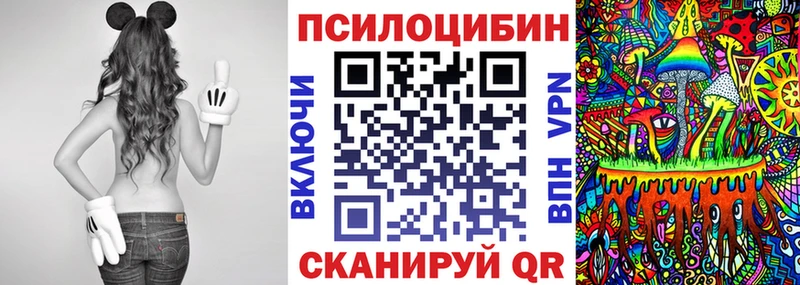 Псилоцибиновые грибы Psilocybine cubensis  Купить где  Якутск 